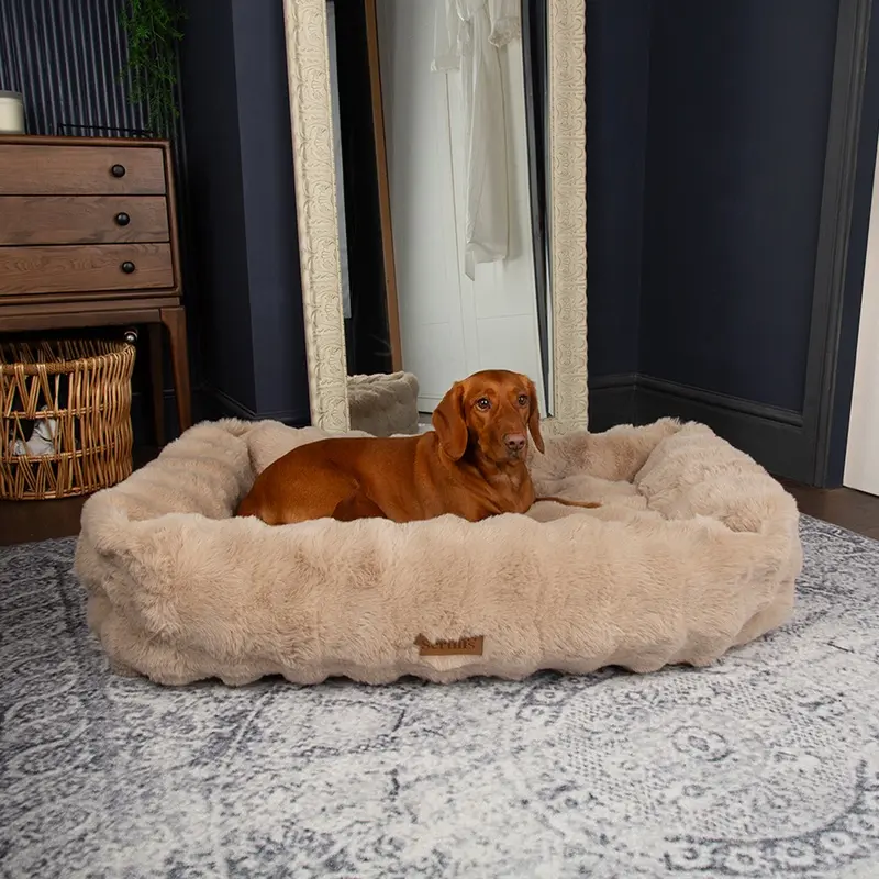 Scruffs Alpine Champagne Box Bed For Dogs