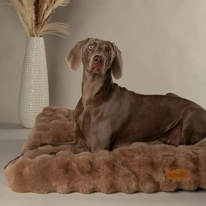 Scruffs Alpine Taupe Dog Mattress