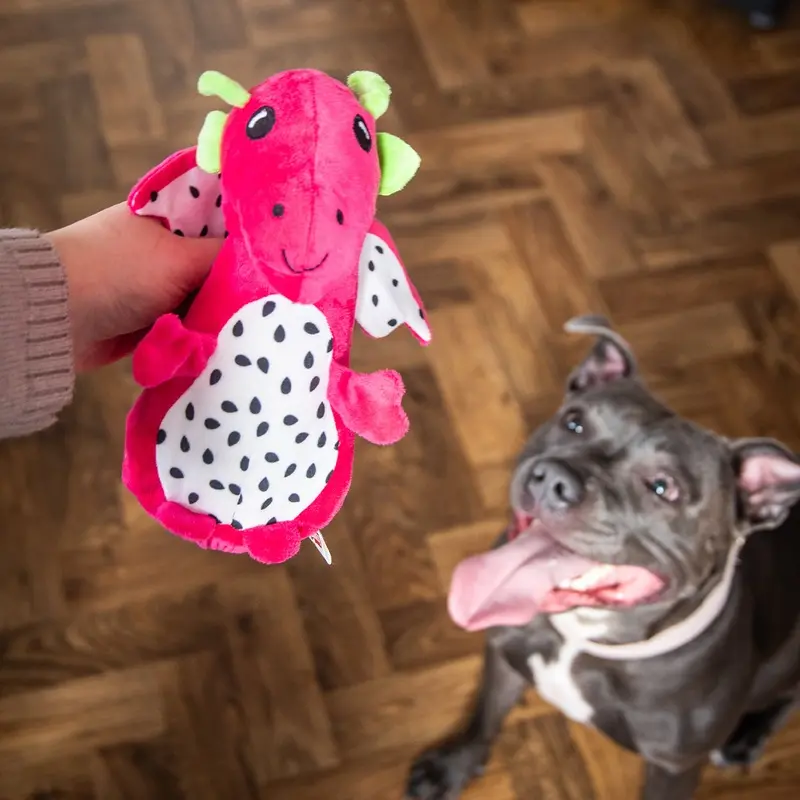 Cooling Dragonfruit Dragon Toy