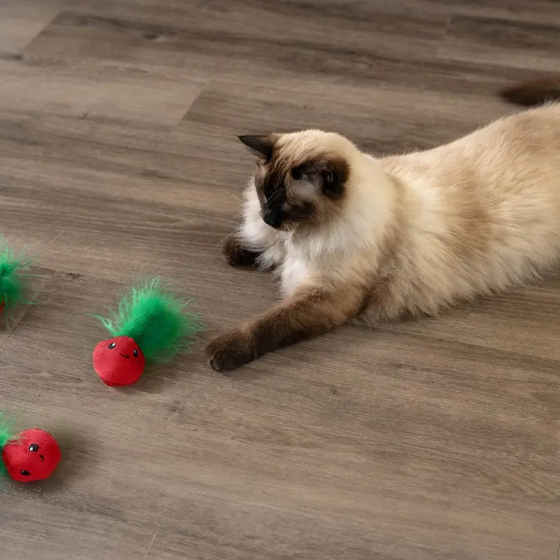 Nina Ottossen Catstages Catnip Strawbabies 3 Pack