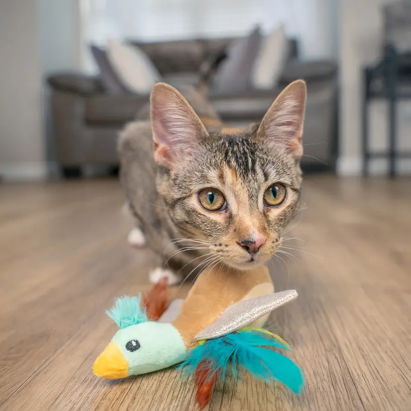 Nina Ottossen Catstages Flapperz Duck Catnip Toy