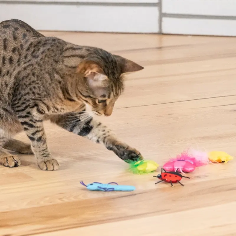 Nina Ottossen Catstages OrkaKat Catnip Wiggle Worm