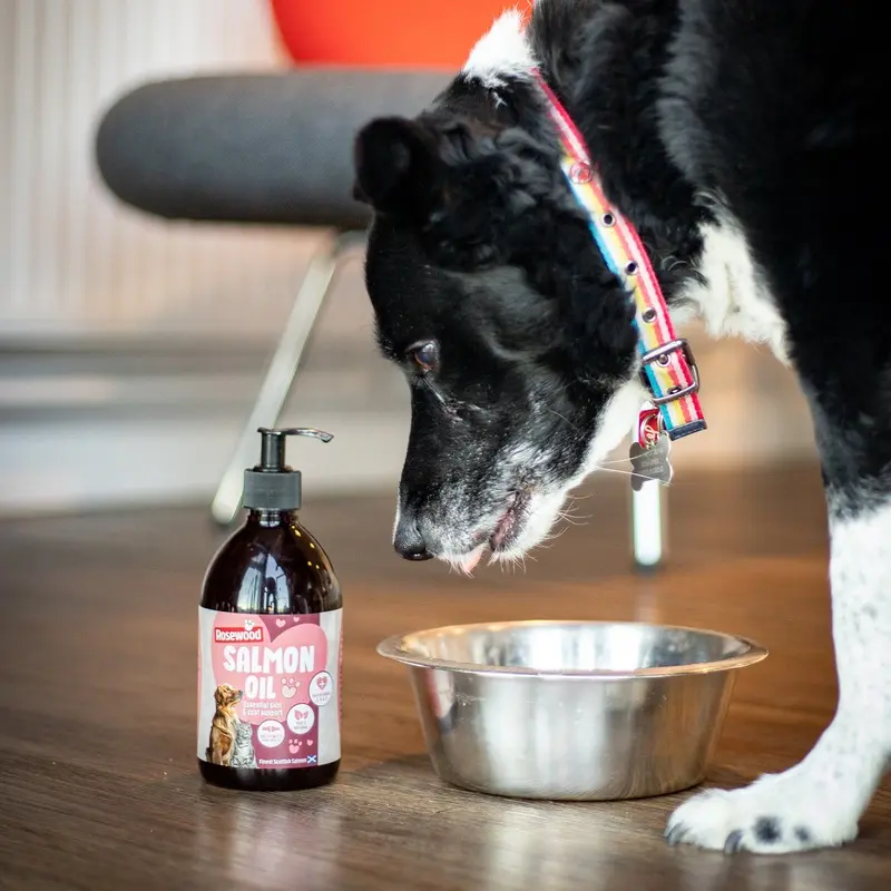 Salmon Oil for Dogs & Cats 500ml