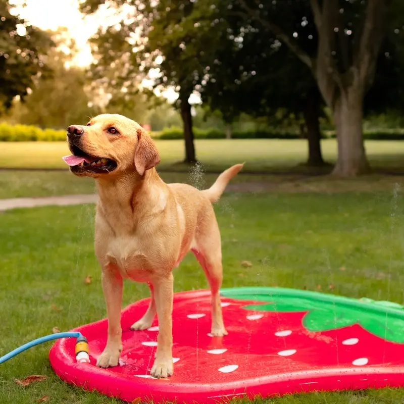 Strawberry Splash Mat
