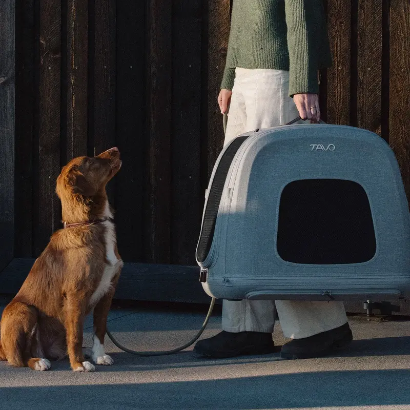 Tavo Crispin Pet Travel Crate with ISOFOX Connectors - Merle