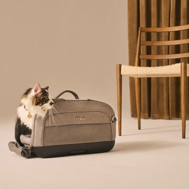 Tavo Dupree Small Dog Carrier & Car Seat with ISOFIX - Merle