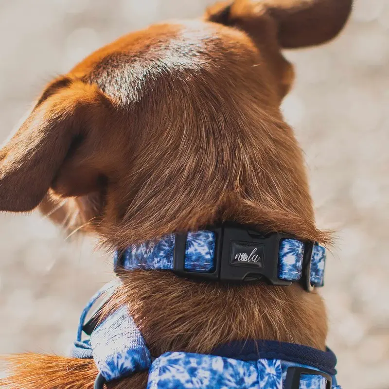 Love Nala Water Collar