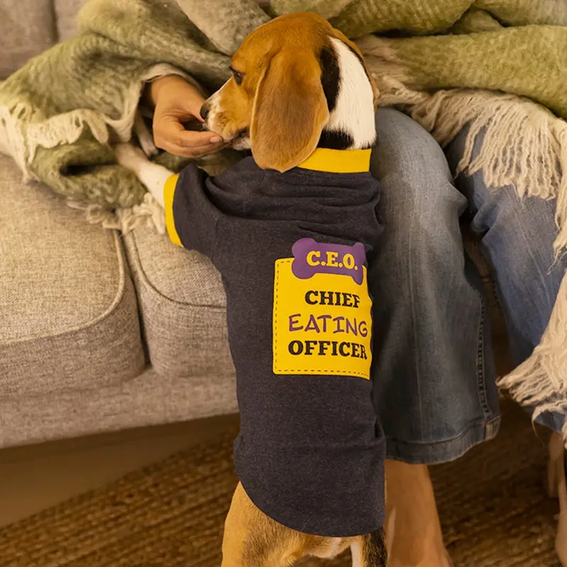 HUFT Fleece Dog Sweatshirt - Blue Melange