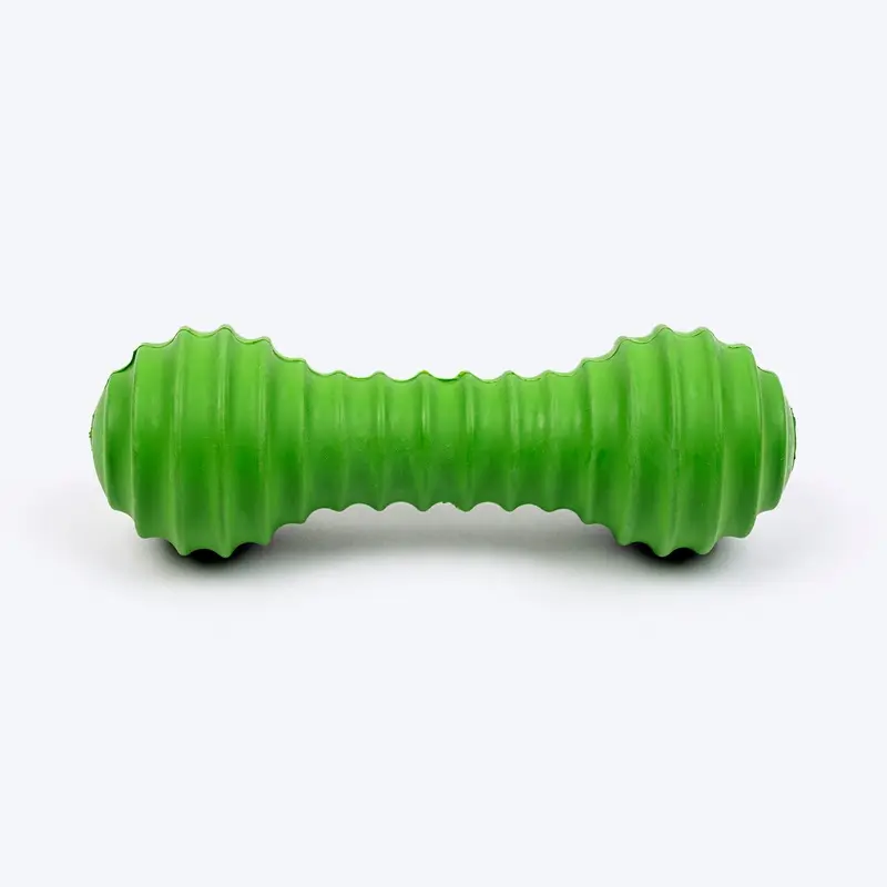TLC Stripe Textured Dumbbell Squeaky Chew Toy For Dog - Green