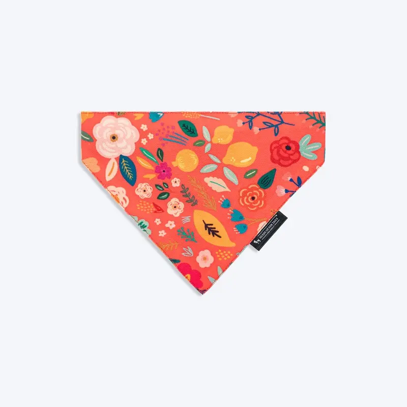 HUFT Blooming Days Printed Dog Bandana - Orange