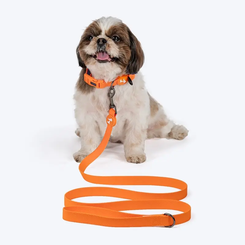 HUFT Hive Harmony Waterproof Collar and Leash Set For Dog - Orange