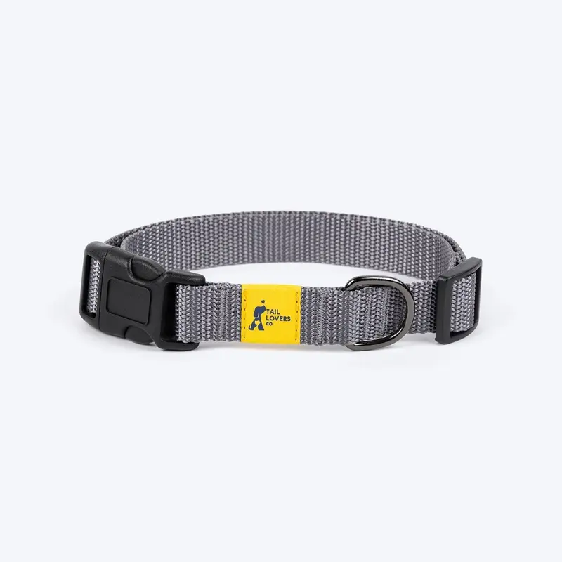 TLC Collar For Dog - Grey