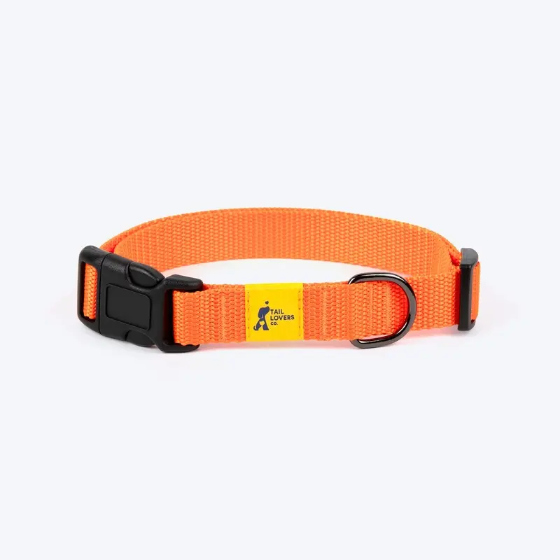 TLC Collar For Dog - Orange