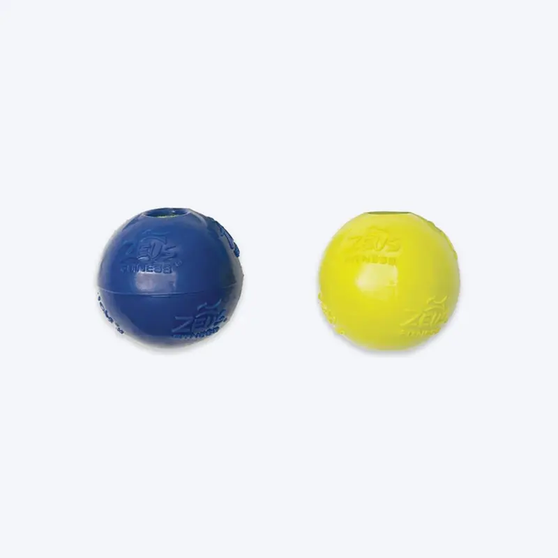 Zeus Fitness TPR Encased Tennis Ball Fetch Dog Toy - Green/Blue