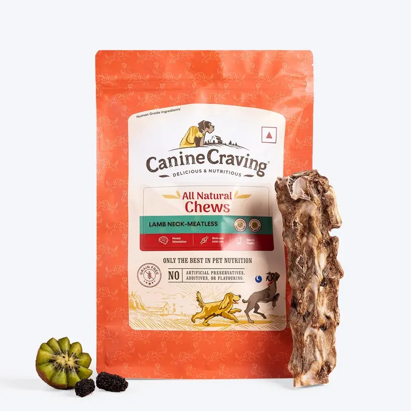 Canine Craving Bone Chew - Meatless Lamb Neck Dog Chew Treat - 1 Piece