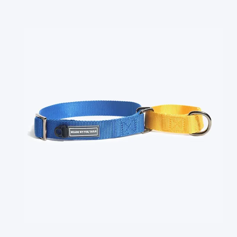 HUFT Martingale Dog Collar - Navy and Yellow