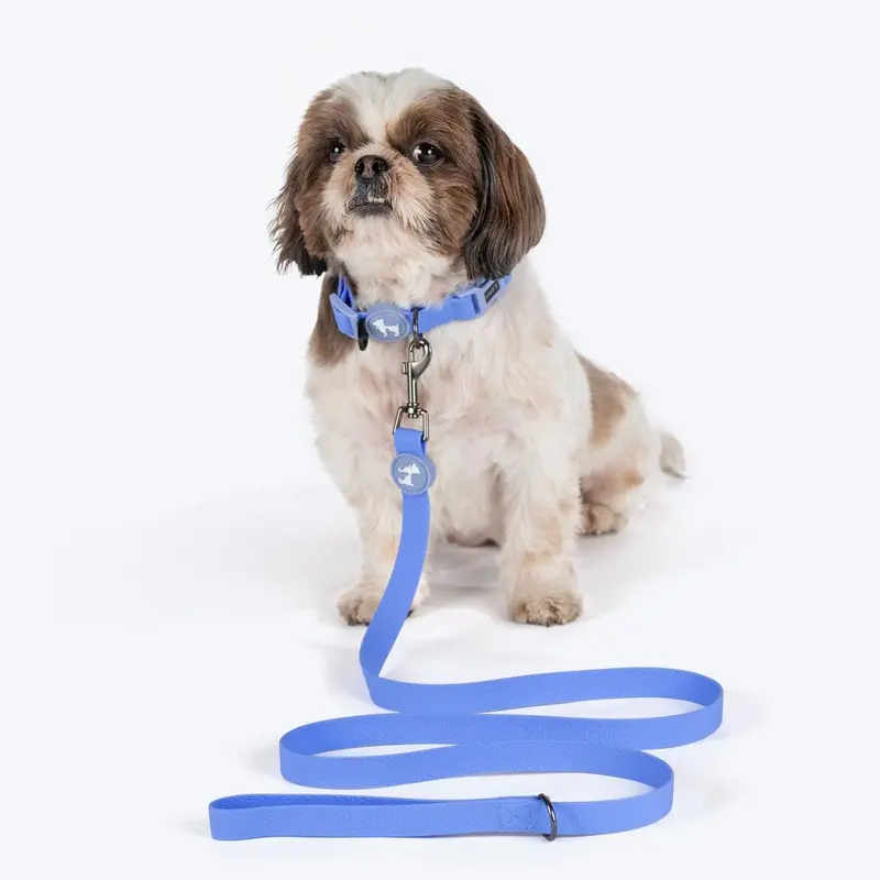 HUFT Hive Harmony Waterproof Collar and Leash Set For Dog - Blue