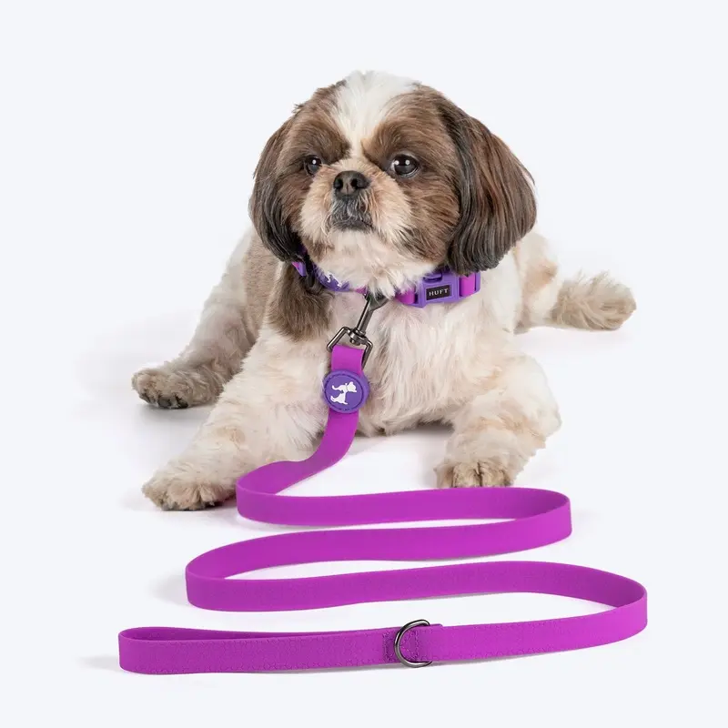 HUFT Hive Harmony Waterproof Collar and Leash Set For Dog - Purple