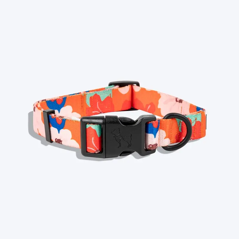 HUFT Petal Play Printed Dog Collar - Orange