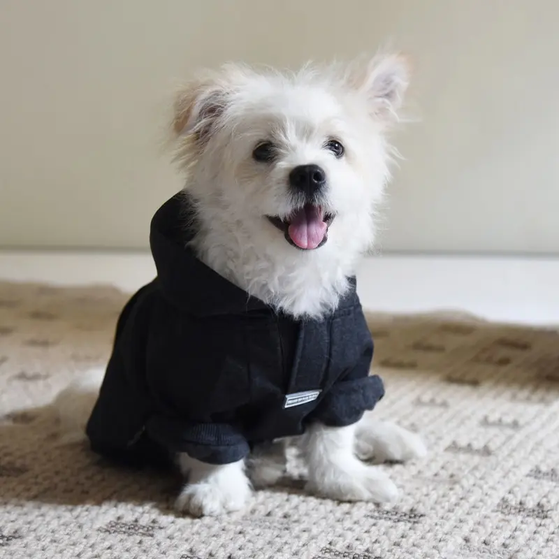 HUFT Sweatshirt For Dogs - Dark Grey