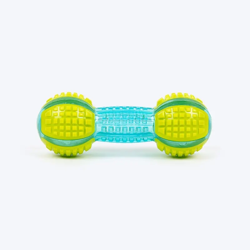 Dash Dog Gnaw & Go Squeaky Toy For Dog - Neon Green & Blue