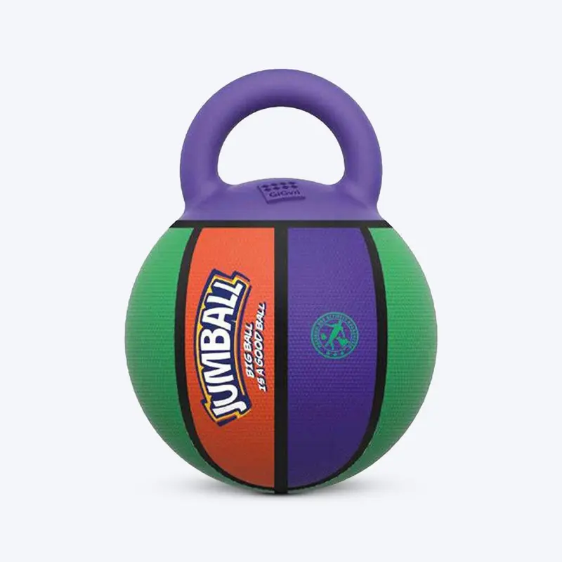 GiGwi Jumball Dog Toy - Basket Ball (with Rubber Handle) - Purple/Green/Orange