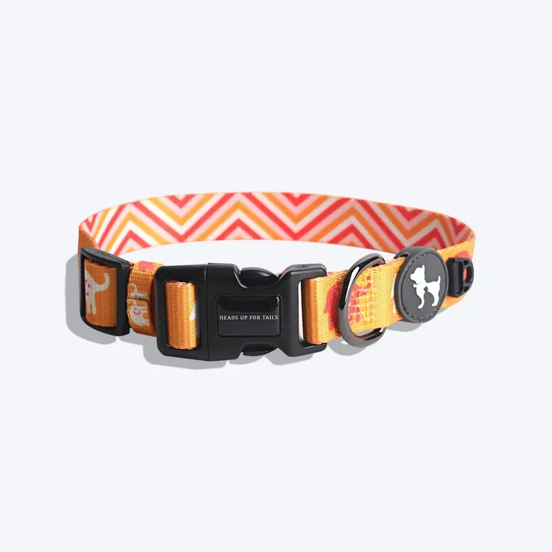 HUFT Summer Legacy Printed Dog Collar