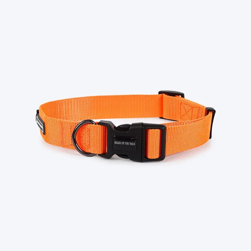 HUFT Essentials Nylon Dog Collar - Orange