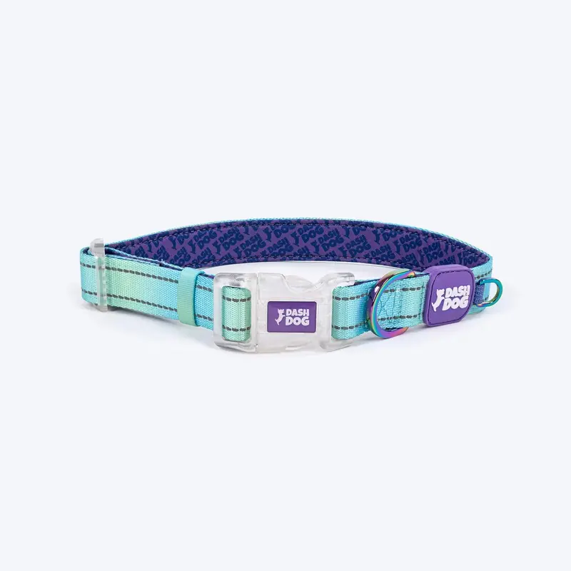 Dash Dog Ethernal Fade Padded Collar For Dog - Aqua