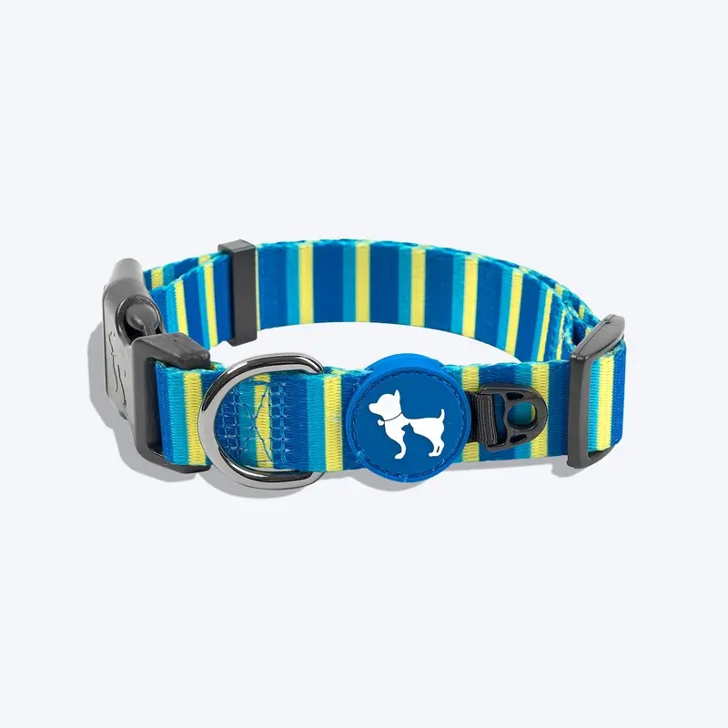 HUFT Blazing Blue Printed Dog Collar