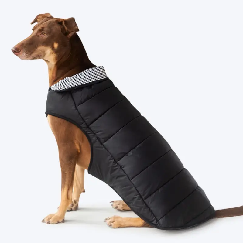 HUFT Wintersong Essentials Dog Jacket - Black