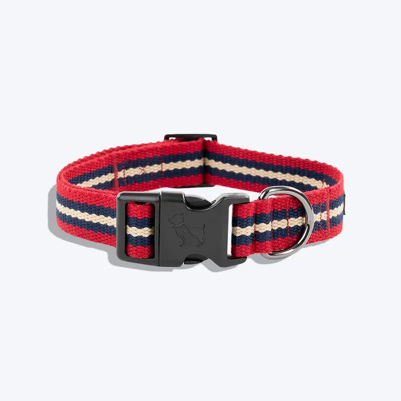 HUFT Retro Vibes Dog Collar - Maroon & Navy