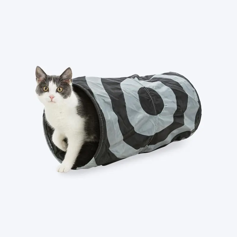 Trixie Playing Tunnel For Cats