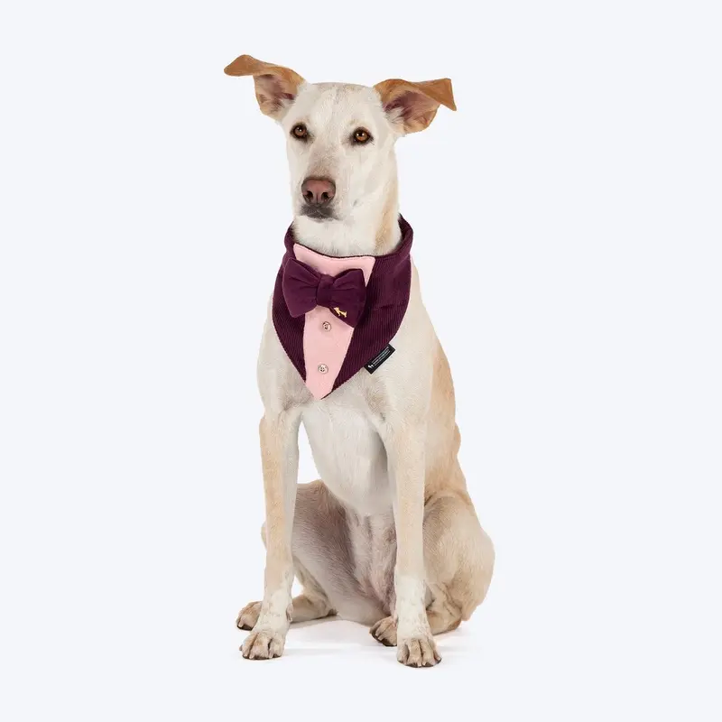 HUFT Dapper Doggy Bandana For Dog - Violet