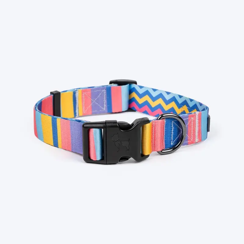 HUFT Spectrum Stripes Collar For Dog - Multicolor
