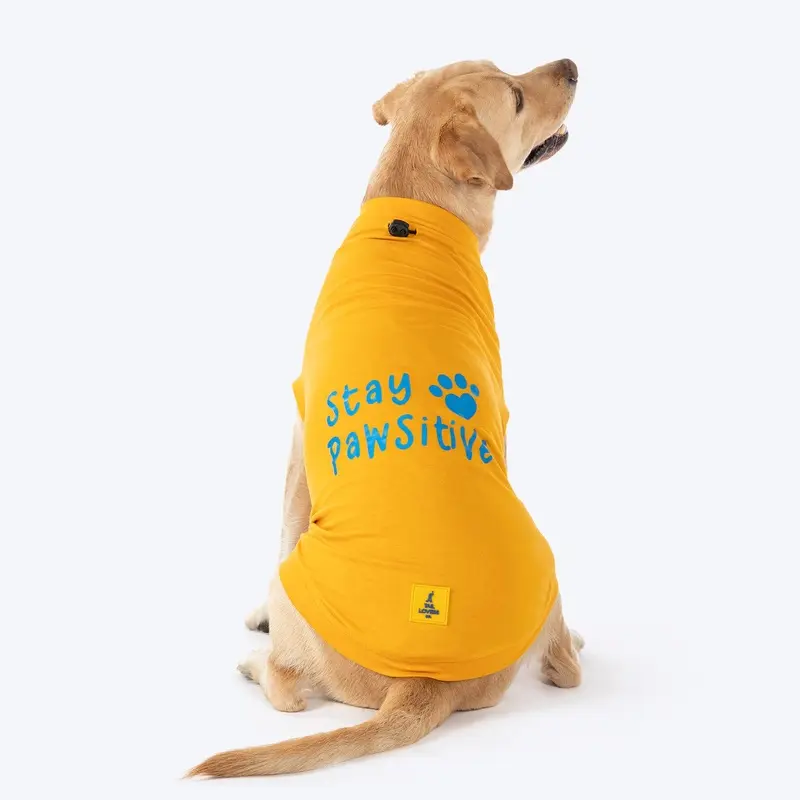 TLC Stay Pawsitive T-Shirt For Dog - Yellow