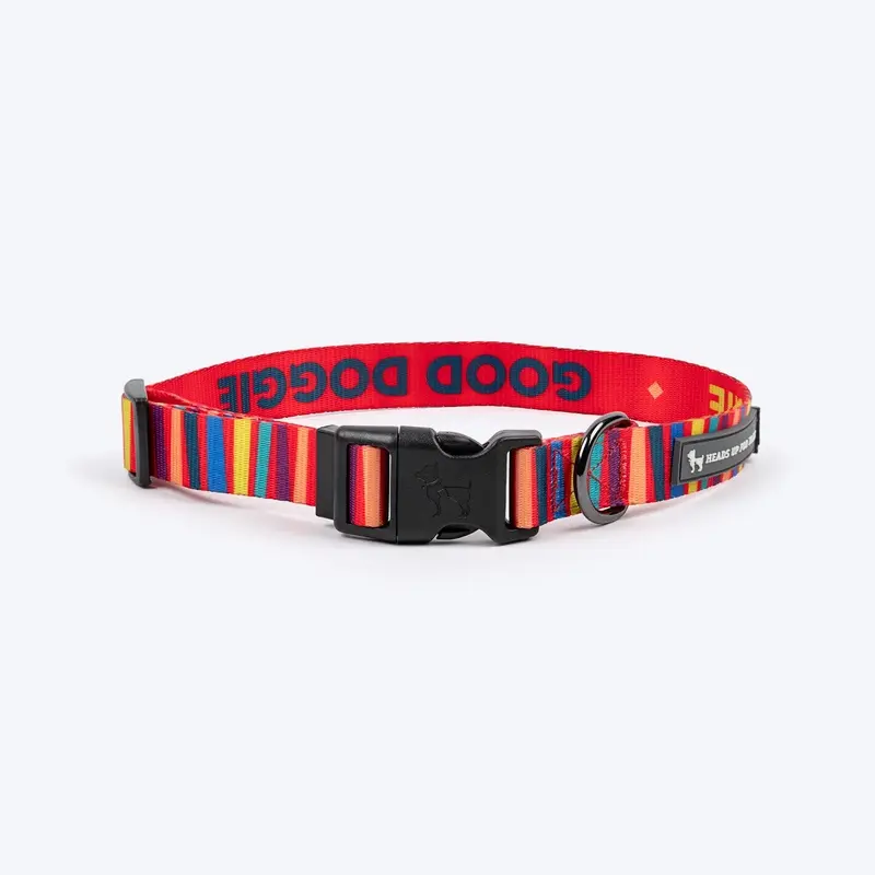 HUFT Good Doggie Collar For Dog - Multicolor