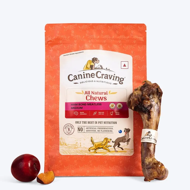 Canine Craving Dehydrated Ham Bone Chew - Meatless Ham Dog Treat - 1 Pc - 175 g