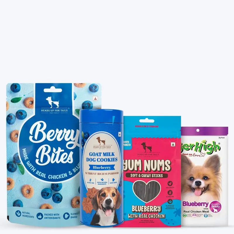 Huft Berrylicious Bundle - Blueberry Chews & Cookie Treats - Combo