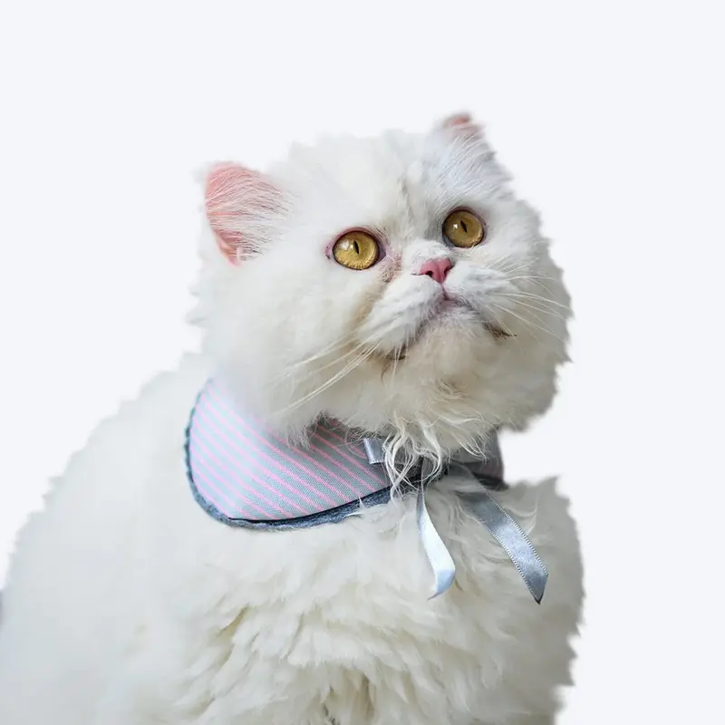 HUFT Striped Scarf For Cats and Puppies