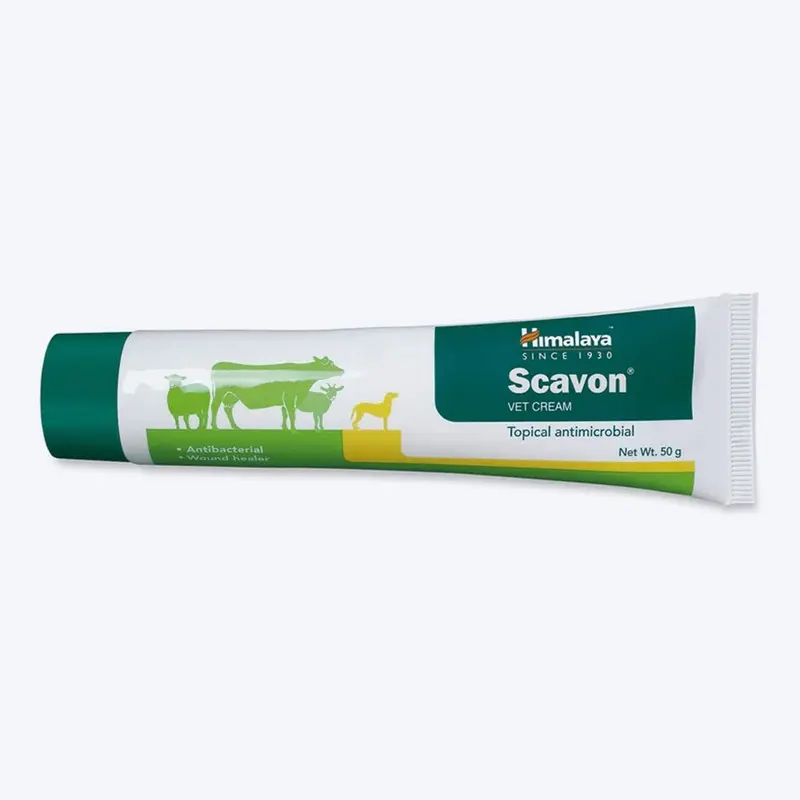 Himalaya Scavon Vet Cream For Dog & Cats - 50 gms