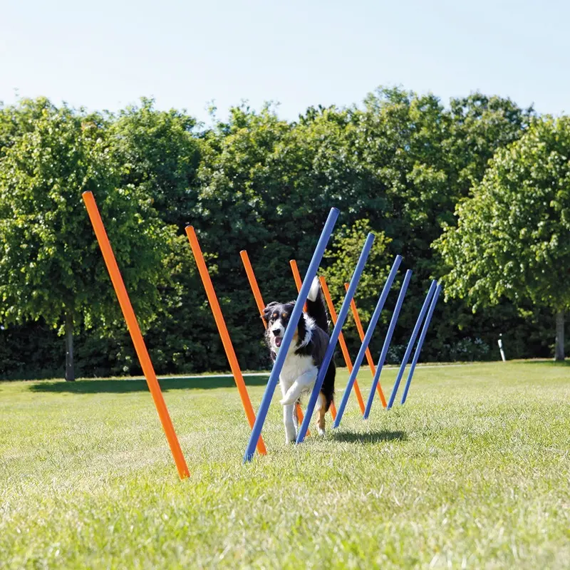 Trixie Dog Agility Slalom Weave Poles