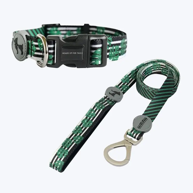 HUFT Be-Leaf in Good Collar and Leash Set for Dogs - Green
