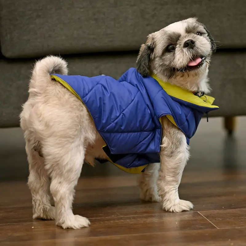 HUFT Cozy Pupper Reversible Dog Jacket - Dark Blue/Green