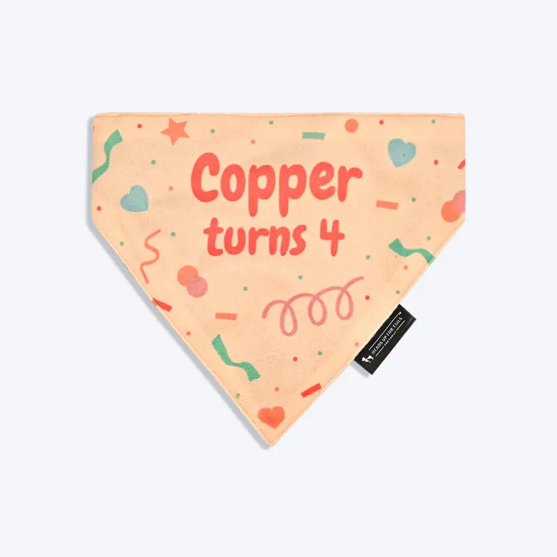 HUFT Personalised Birthday Cheer Dog Bandana - Beige
