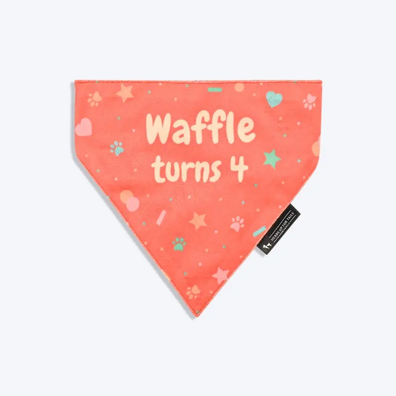HUFT Personalised Party Starter Birthday Dog Bandana - Coral