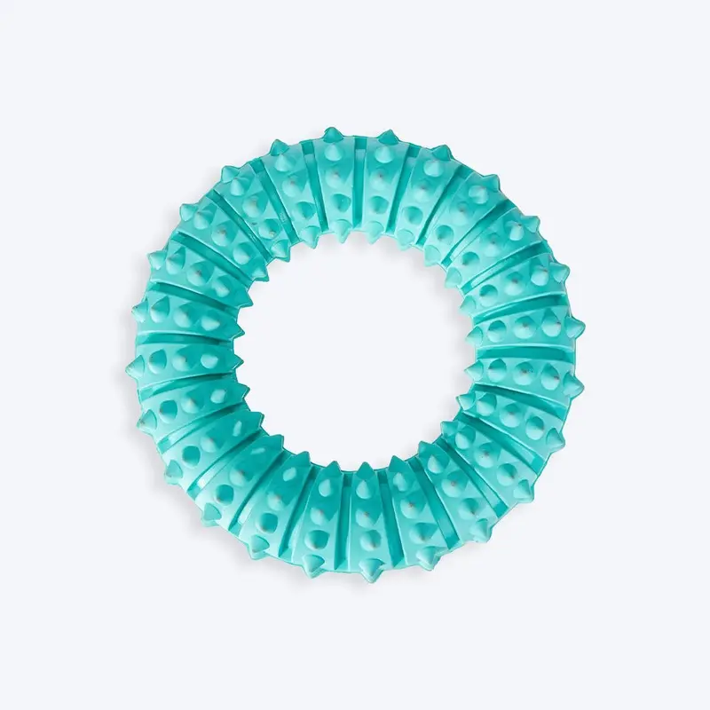 Trixie Natural Denta Fun Ring, Mint Flavour Dog Toy - 12 cm