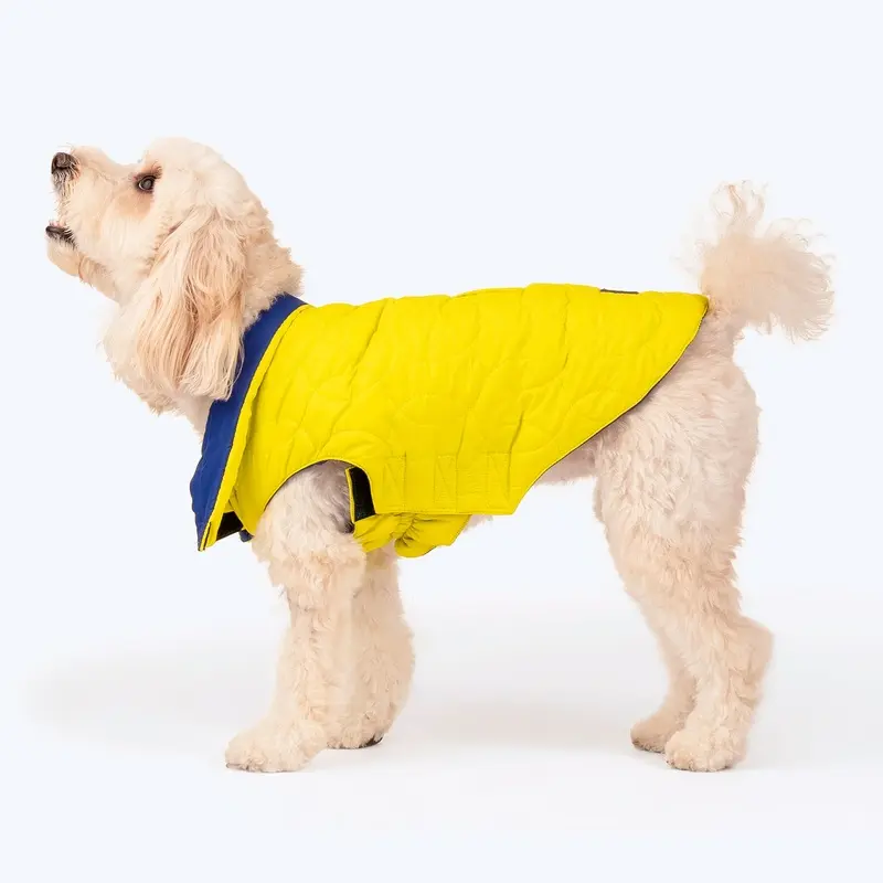 HUFT Cosy Pupper Reversible Dog Jacket - Lime Green