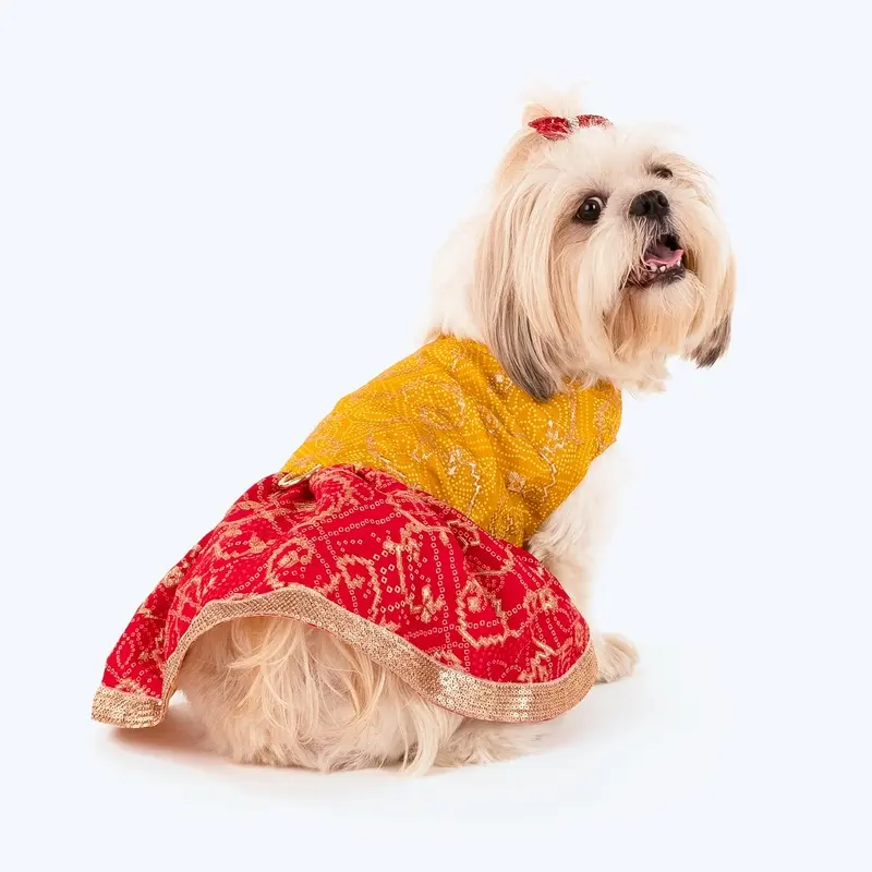 HUFT Personalised Dog Lehenga - Yellow & Red