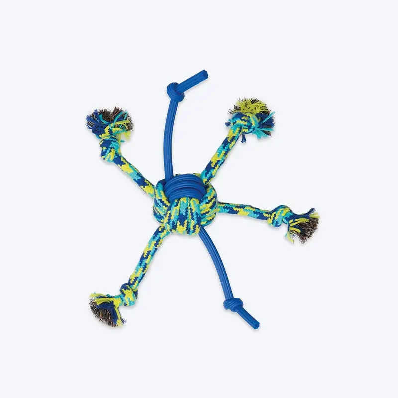 Zeus Fitness Rope & TPR Spider Ball Fetch Dog Toy - Green/Blue